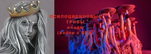 мет Каменск-Шахтинский