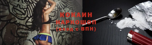 молекула духа Каменногорск