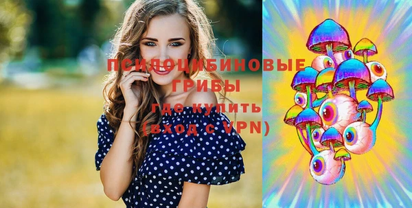 мет Каменск-Шахтинский