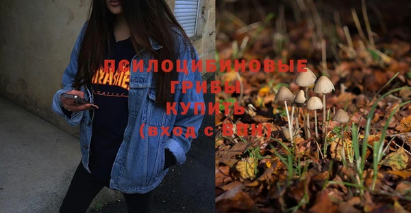 молекула духа Каменногорск