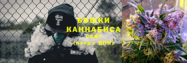 молекула духа Каменногорск
