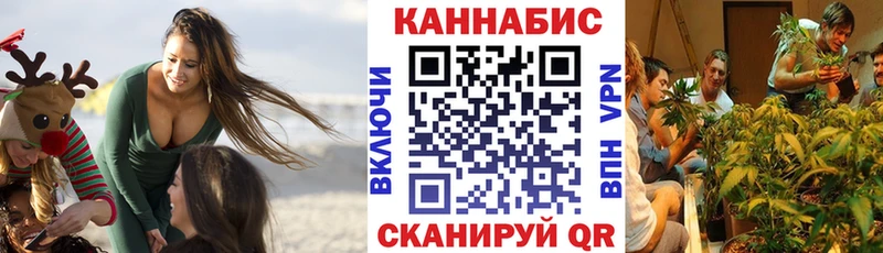 Канабис планчик  Купить где  Дмитриев 